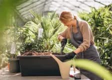 Jardinería